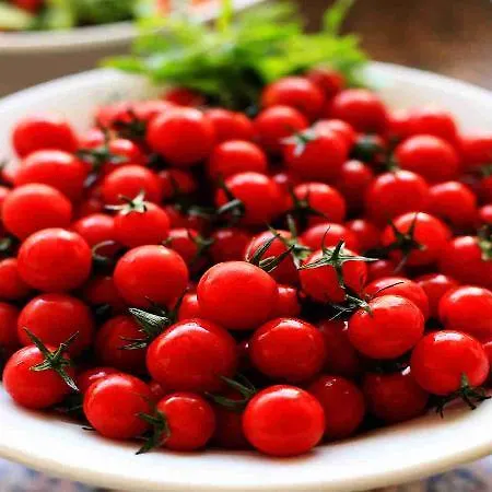 Alize فندق 4*