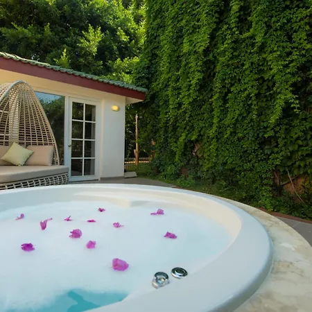 Alize オルデニズ