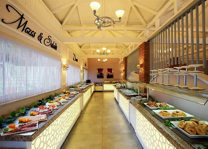 阿利兹奥陆丹尼兹全包酒店 酒店 厄吕代尼兹